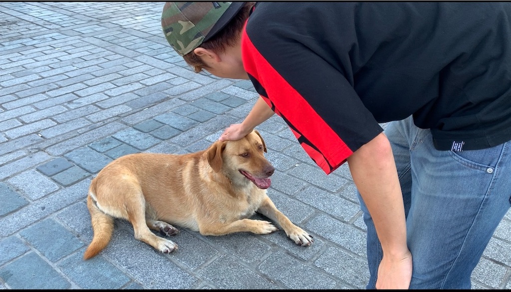 f:id:KUj7bb:20191229163626j:plain f:id:KUj7bb:20191229163626j:plain