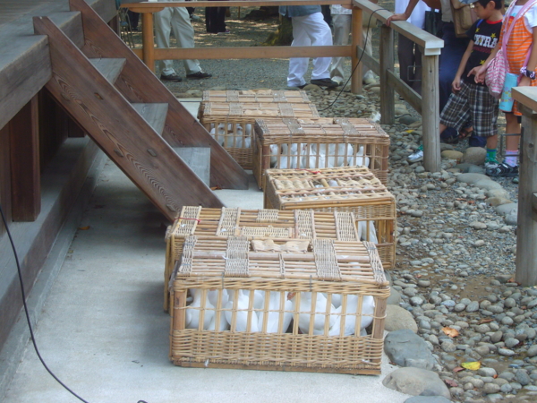 20100815093808
