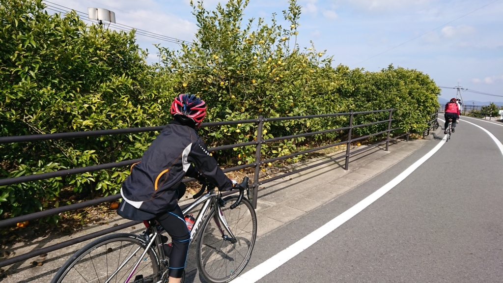 しまなみ縦走　2018　しまなみ海道　ロードバイク　亀老山　ヒルクライム