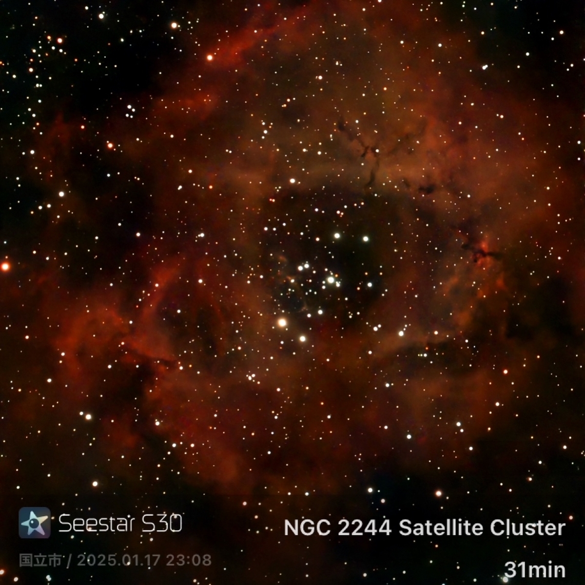【BURGA】カスタマイズOK☆North Star☆星・スター柄☆機種豊富 BURGA】カスタマイズOK☆North Star☆星・スター柄☆機種豊富