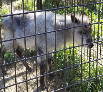 f:id:KYS:20211223223052p:plain