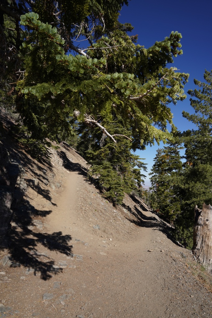 山頂で星条旗が待っている！LA近郊登山@Mount Baden Powell Trail, Los