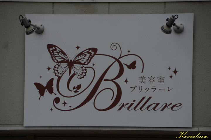 イメージ 13