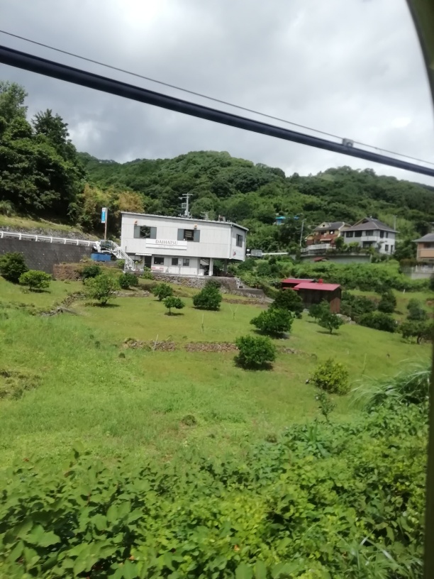 f:id:K_Yazawa:20190913190409j:plain f:id:K_Yazawa:20190913190409j:plain