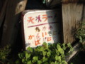 天才ラーメン