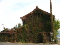 20091029135435