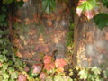 20091029135436