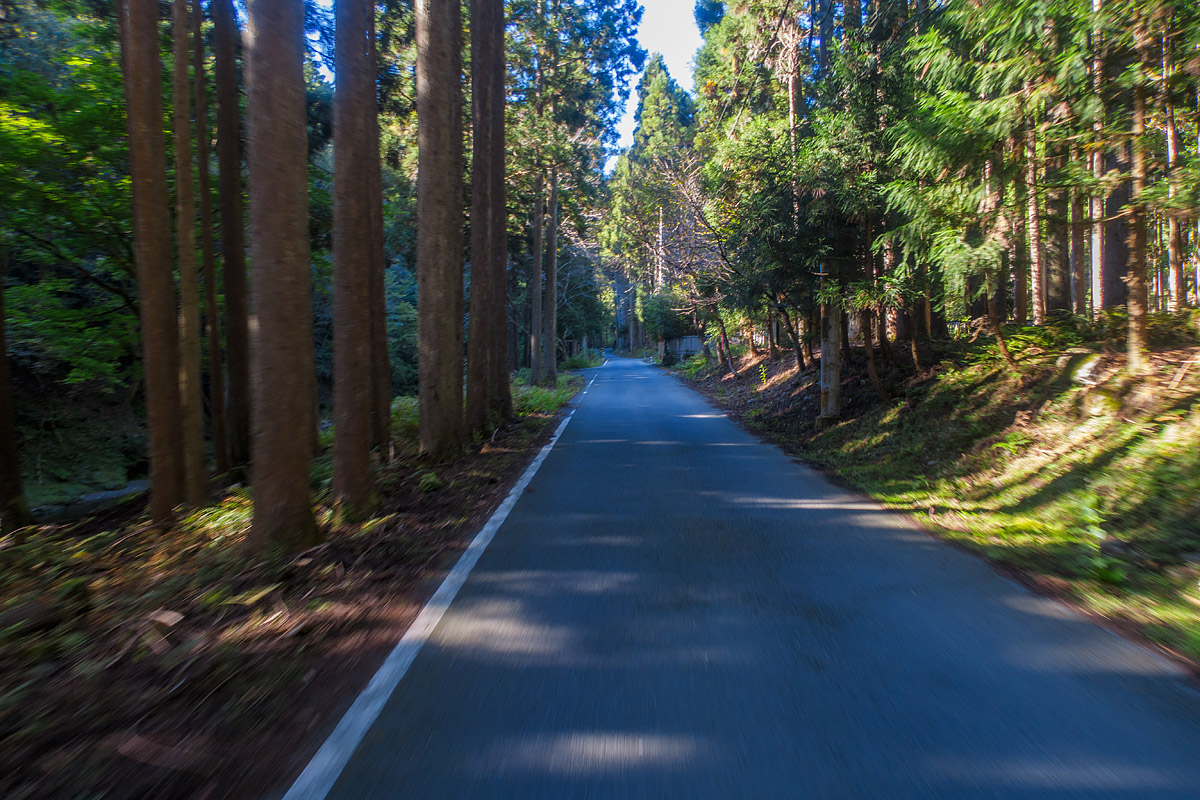 久多から能見峠を越えたあと、花脊を越えて80kmにするか、京北回って