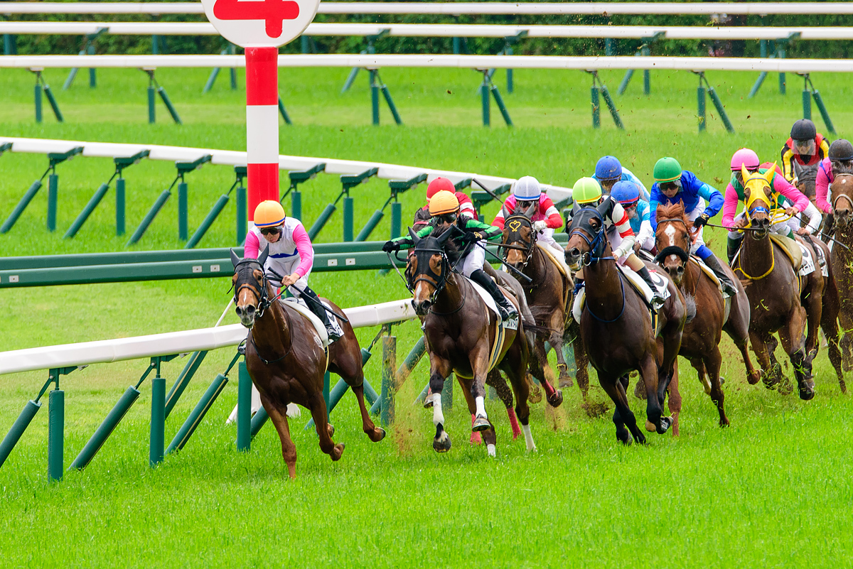 競馬馬の撮影体験 - Garage Kachi R1150RTいじくり日記と時々