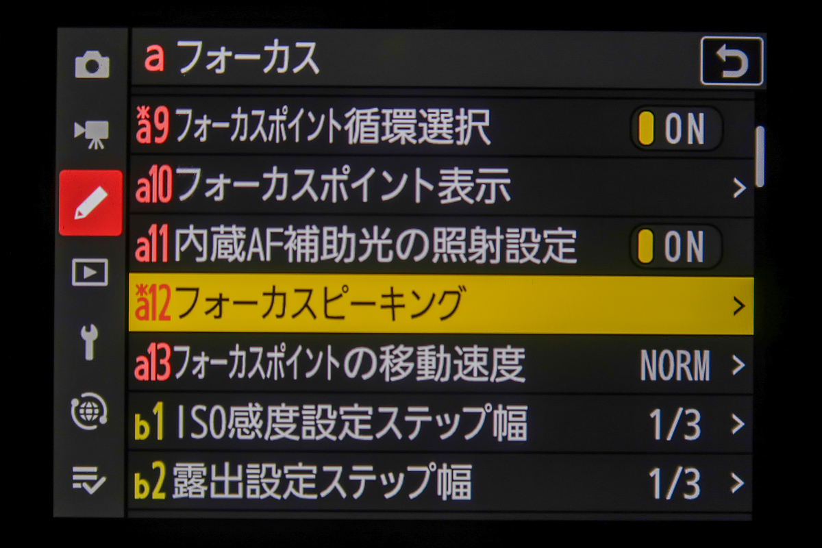 Nikon Z6IIIの撮影設定 - Garage Kachi R1150RTいじくり日記と時々