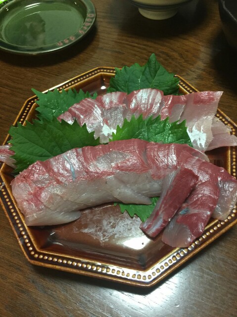 f:id:Kaede-Fishing:20161108195006j:image f:id:Kaede-Fishing:20161108195006j:image