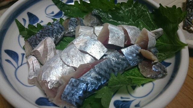 f:id:Kaede-Fishing:20170726090340j:image f:id:Kaede-Fishing:20170726090340j:image
