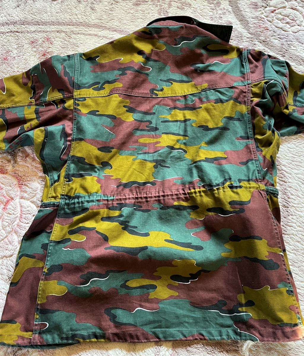 f:id:Kaeru63:20220131085637j:plain