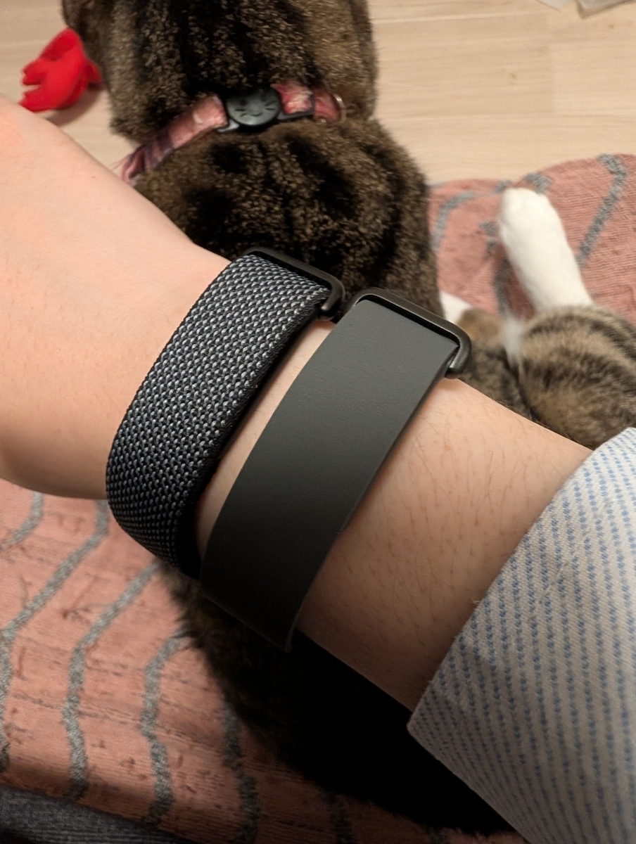 インプレ】Google Fitbit Air プレミアム モダンバンド - 自転車かぎしっぽ