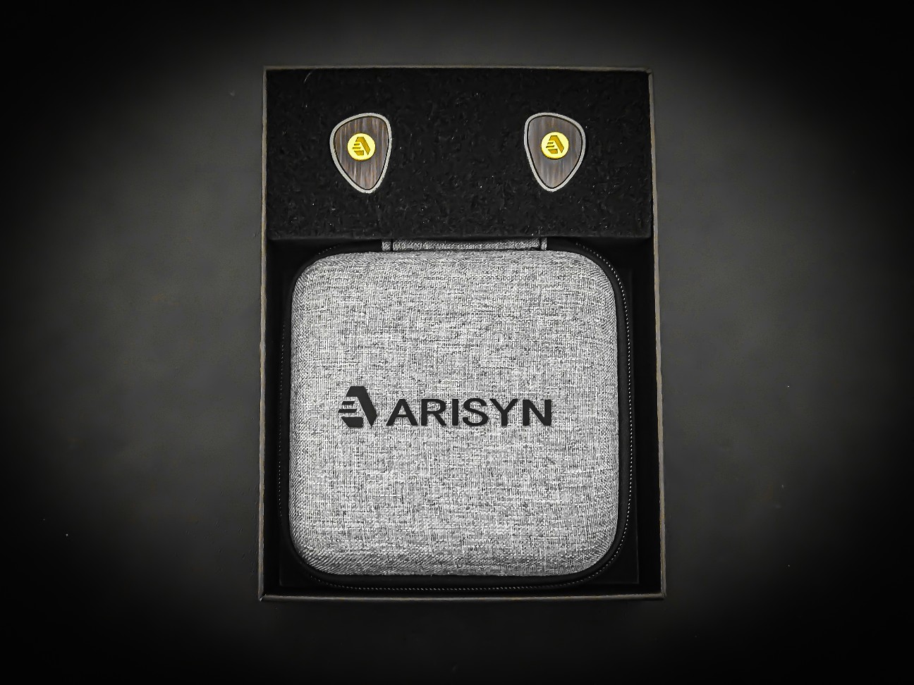 ARISYN BAI YONG（百咏）レビュー︰柔らかな低域と刺激の少ない高域で