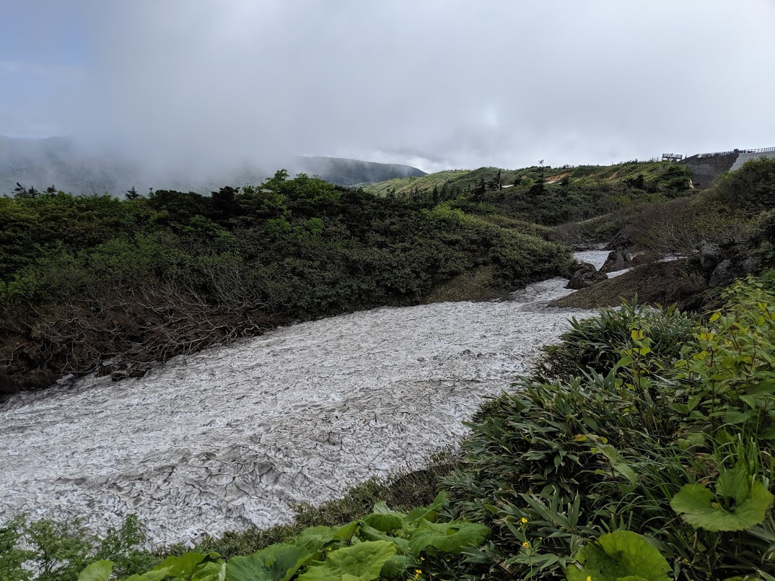 f:id:KaiMktS:20190717221211j:plain