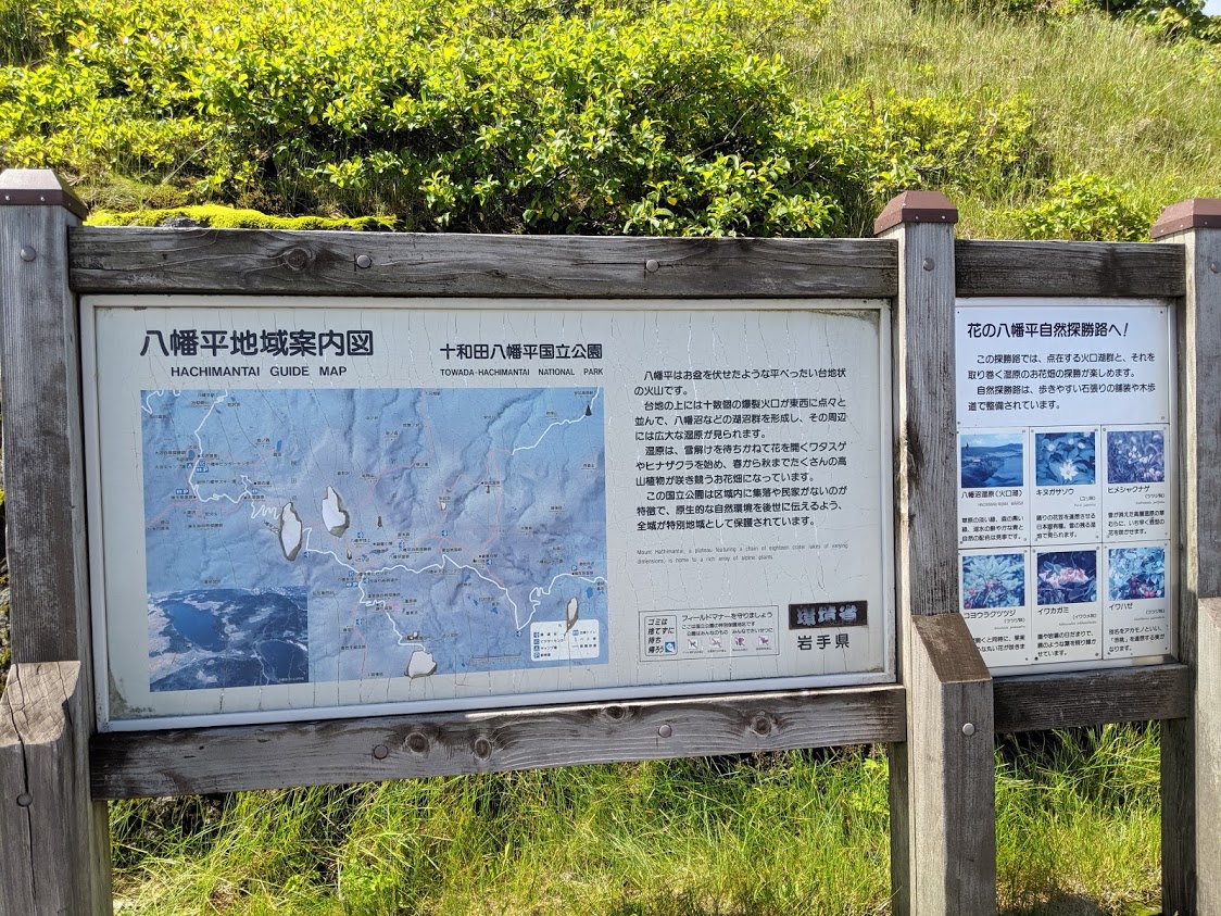 f:id:KaiMktS:20190717221813j:plain