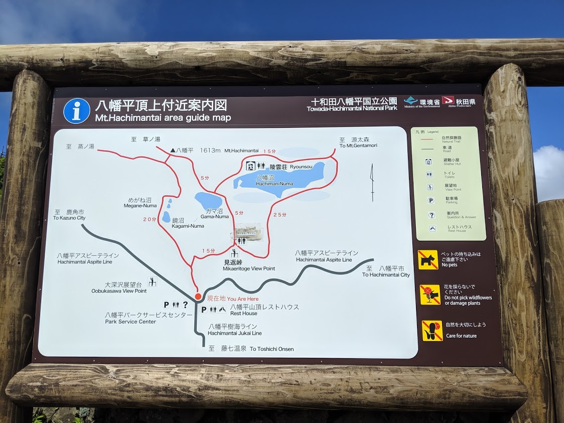 f:id:KaiMktS:20190717221833j:plain