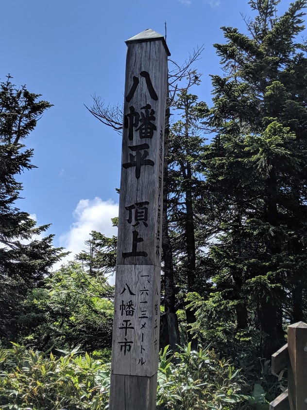 f:id:KaiMktS:20190717222926j:plain