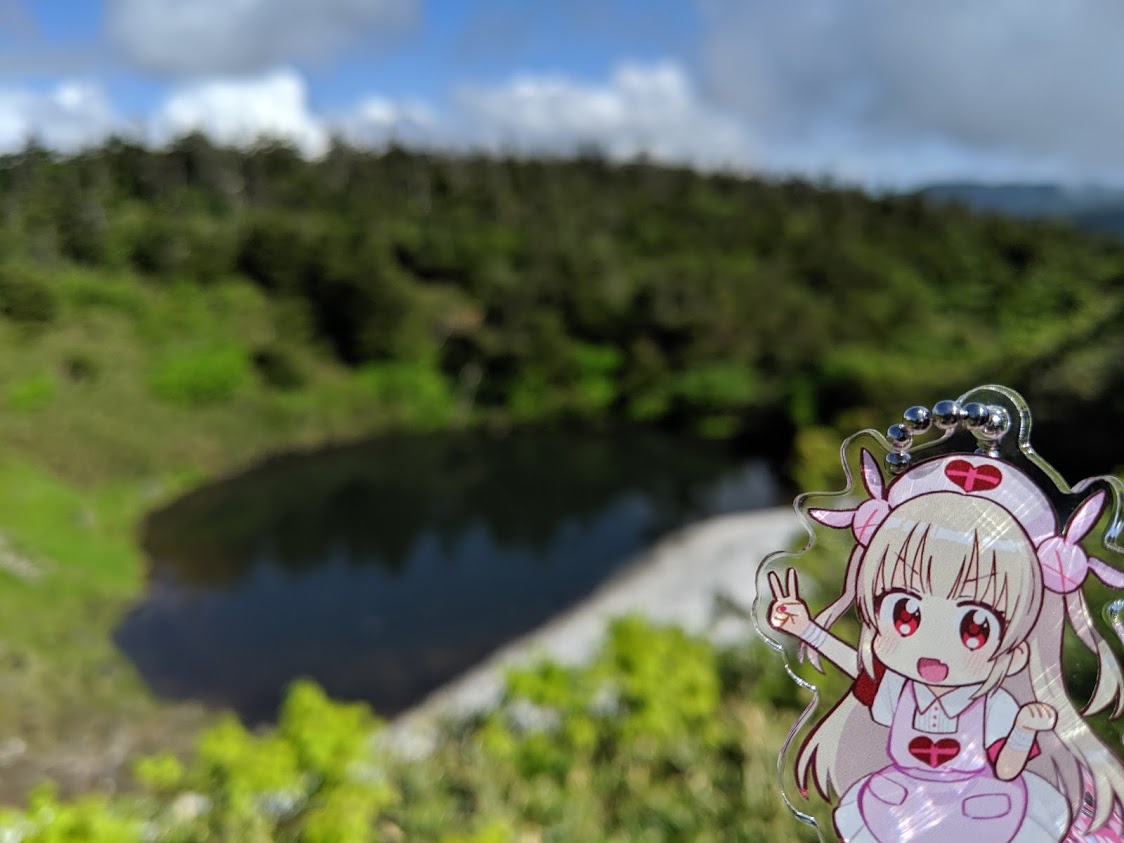 f:id:KaiMktS:20190717223201j:plain