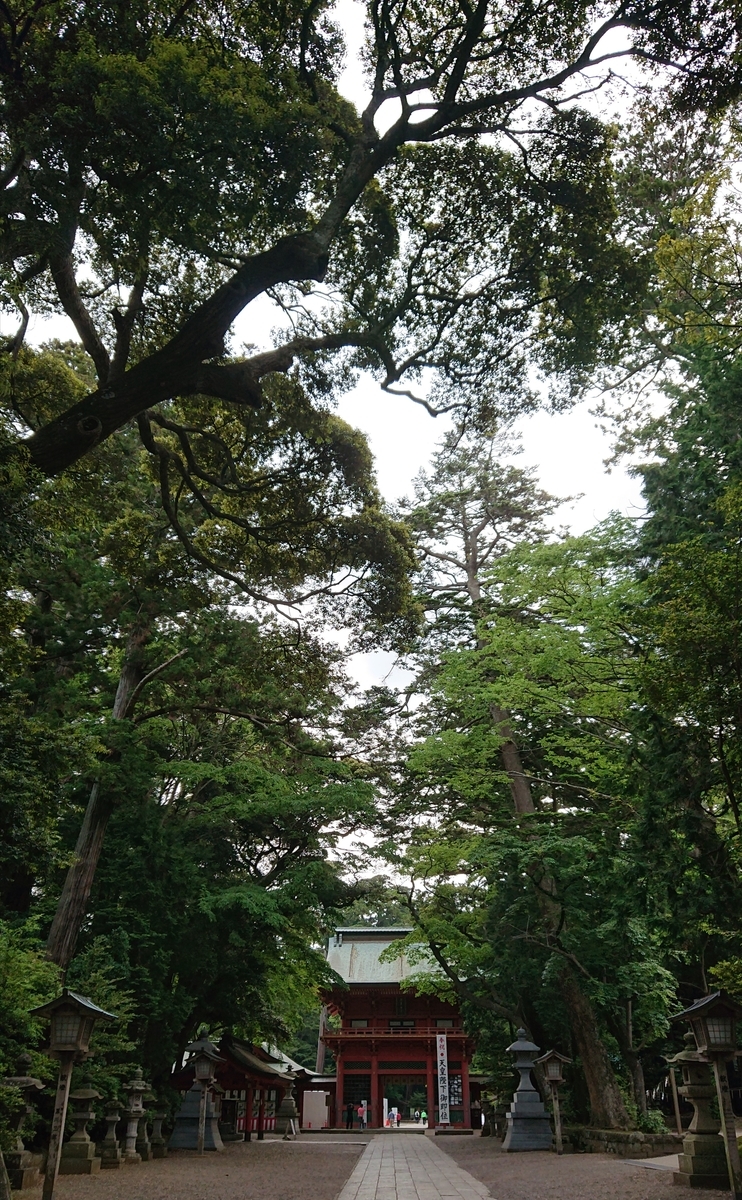 f:id:Kaimotu_Hatuji:20190520090110j:plain