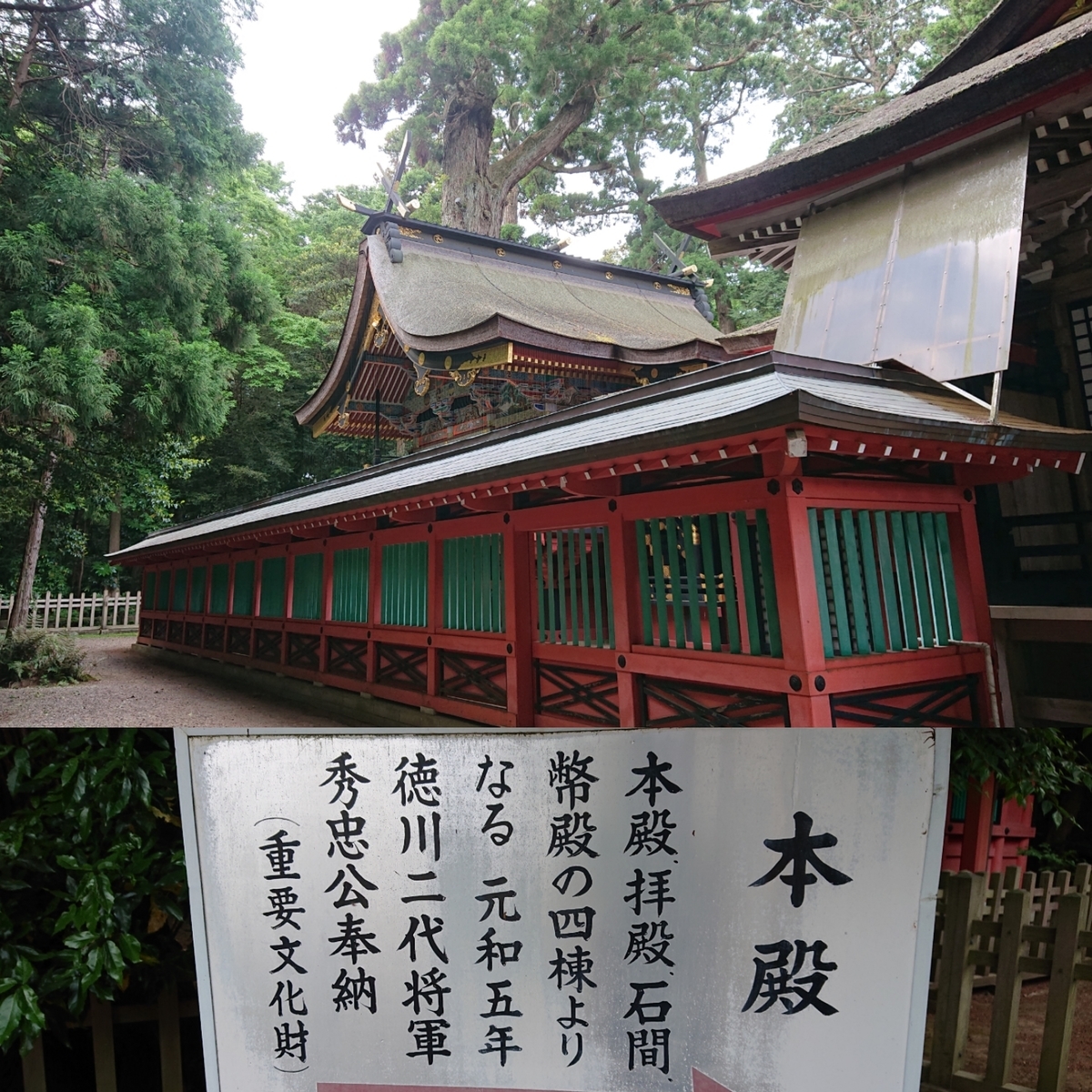 f:id:Kaimotu_Hatuji:20190520090444j:plain