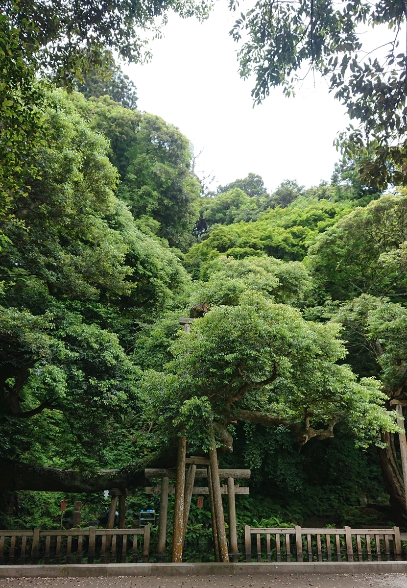 f:id:Kaimotu_Hatuji:20190520091759j:plain