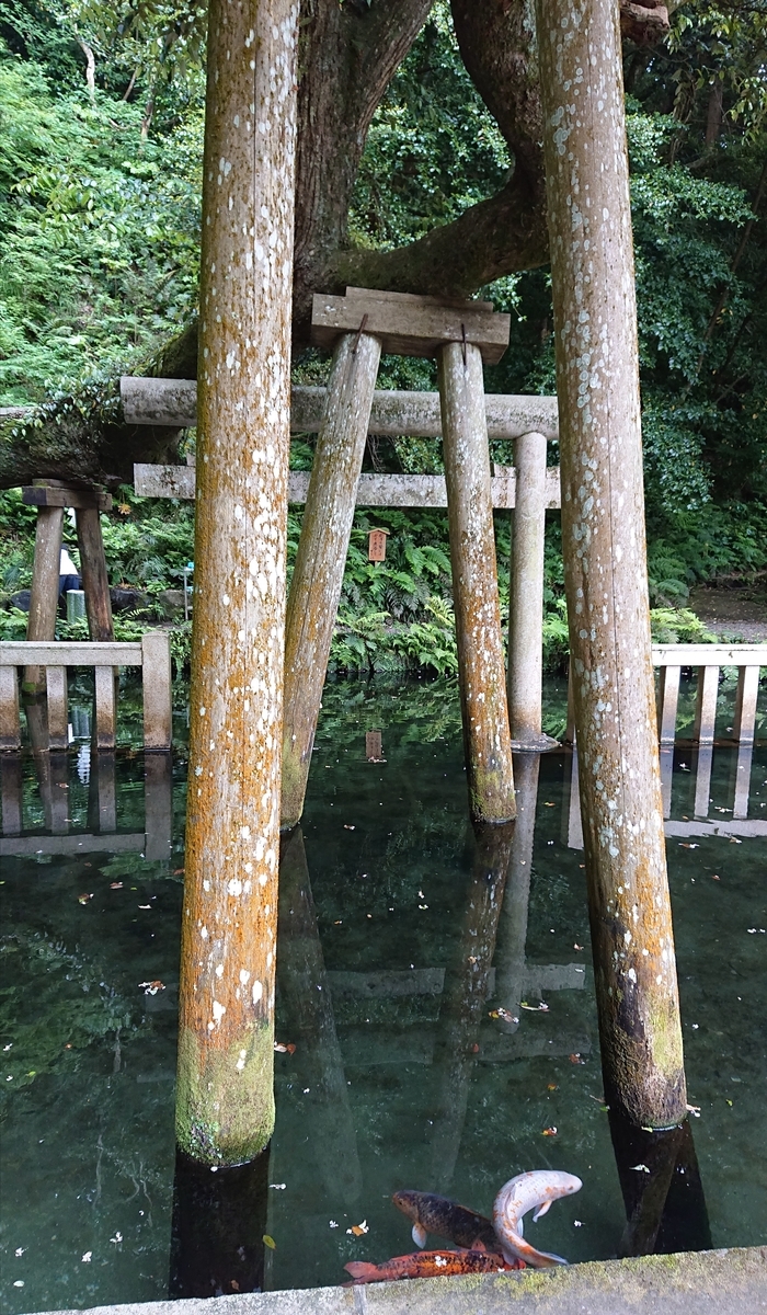 f:id:Kaimotu_Hatuji:20190520100940j:plain