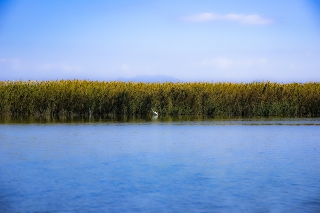 f:id:Kaimotu_Hatuji:20190531210315j:plain f:id:Kaimotu_Hatuji:20190531210315j:plain