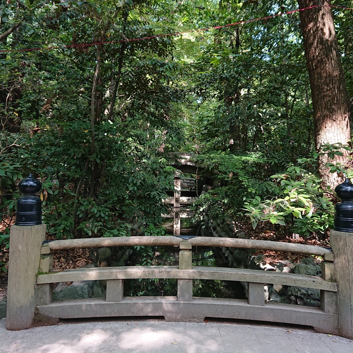 f:id:Kaimotu_Hatuji:20190607144231j:plain