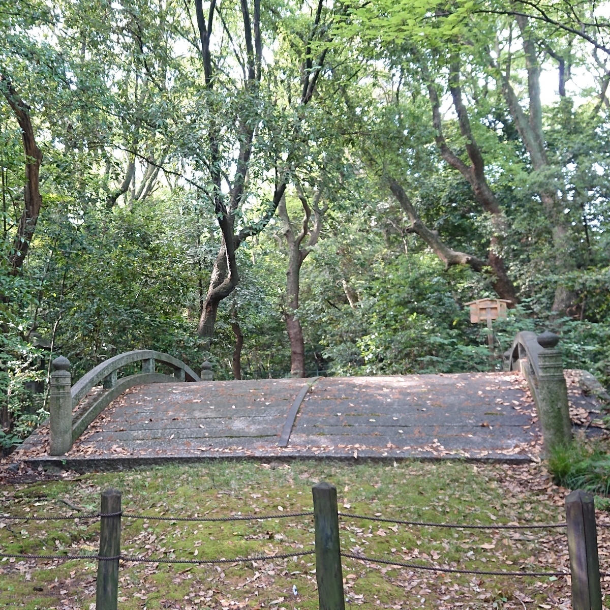 f:id:Kaimotu_Hatuji:20190607144300j:plain