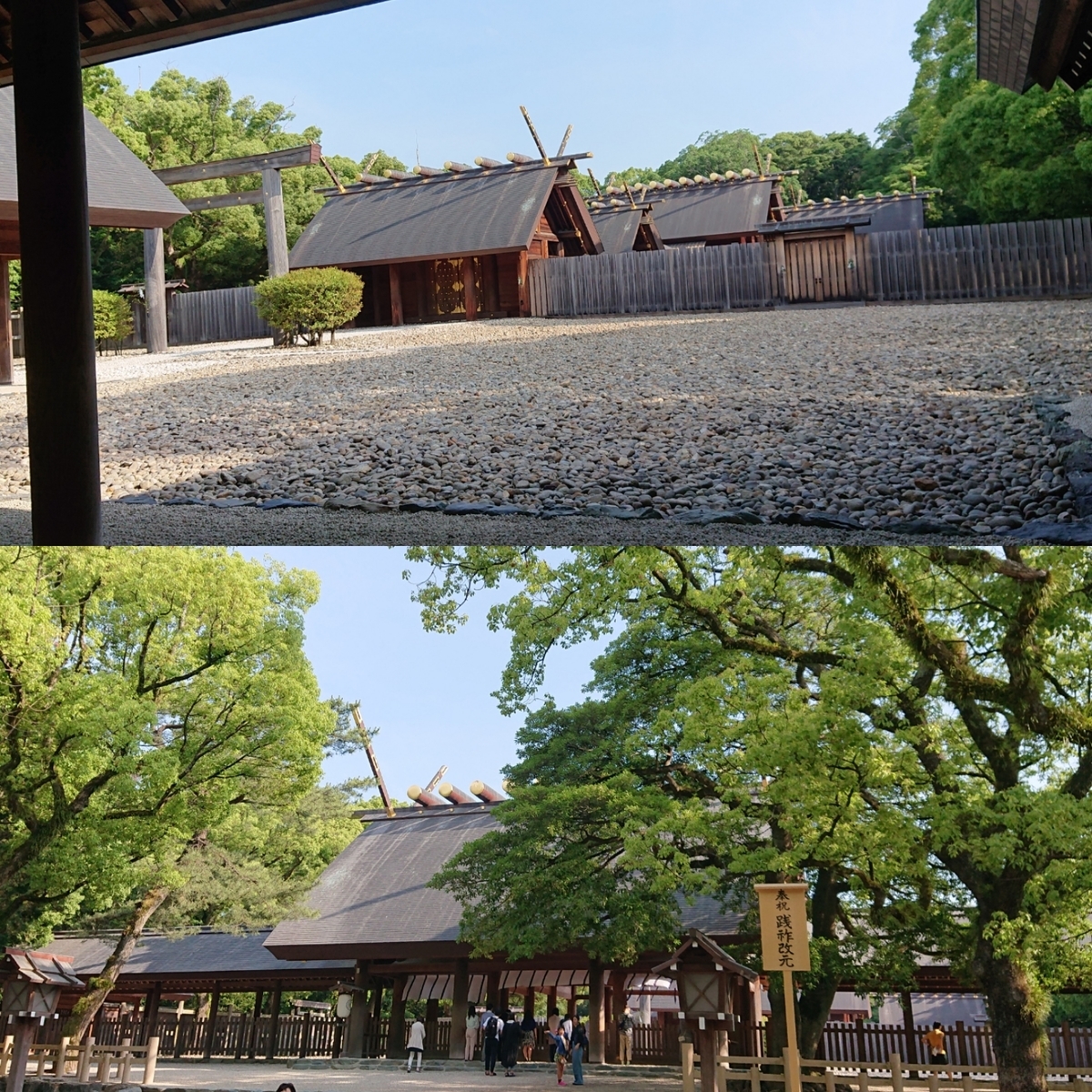 f:id:Kaimotu_Hatuji:20190607150245j:plain