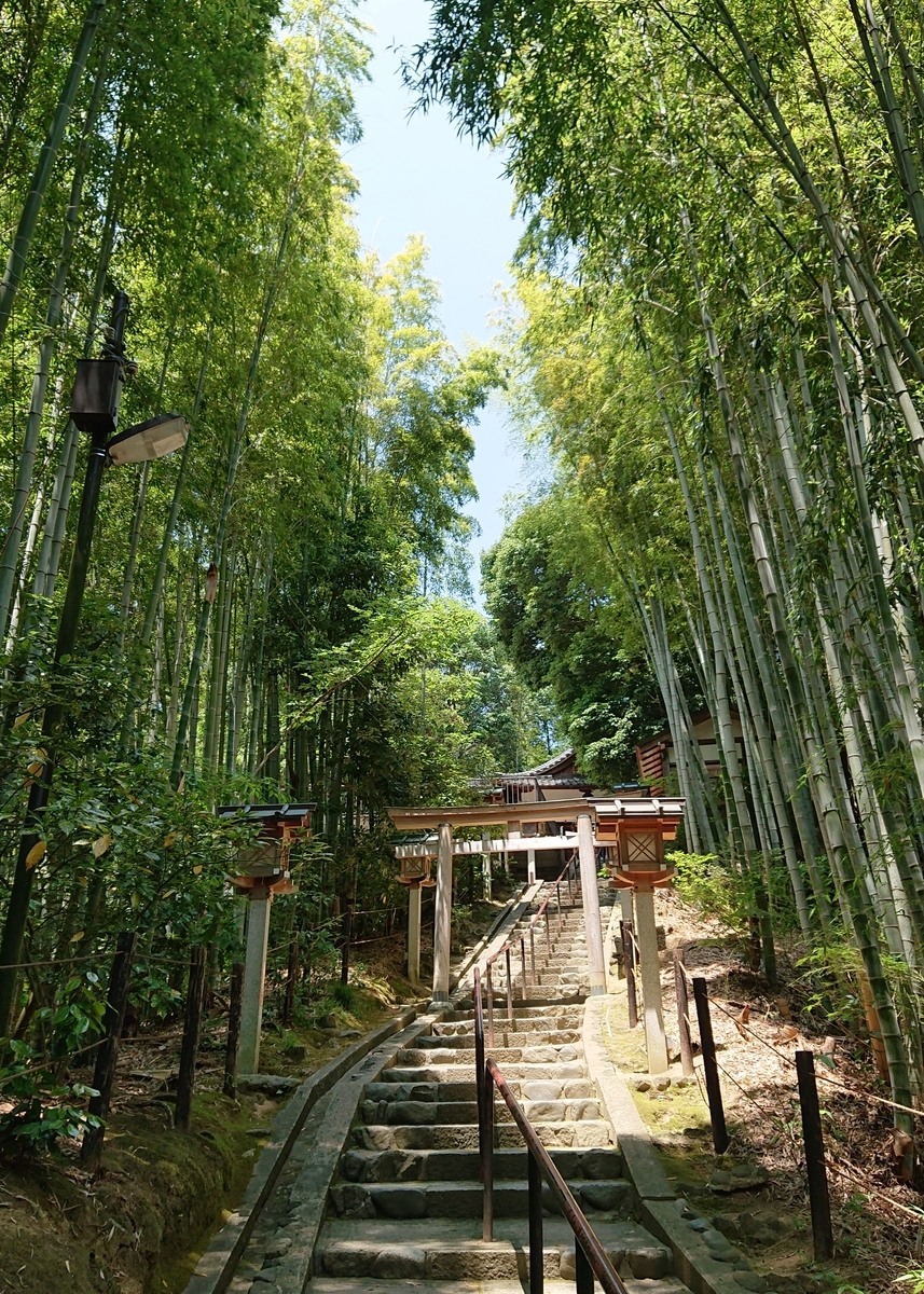 f:id:Kaimotu_Hatuji:20190608082352j:plain