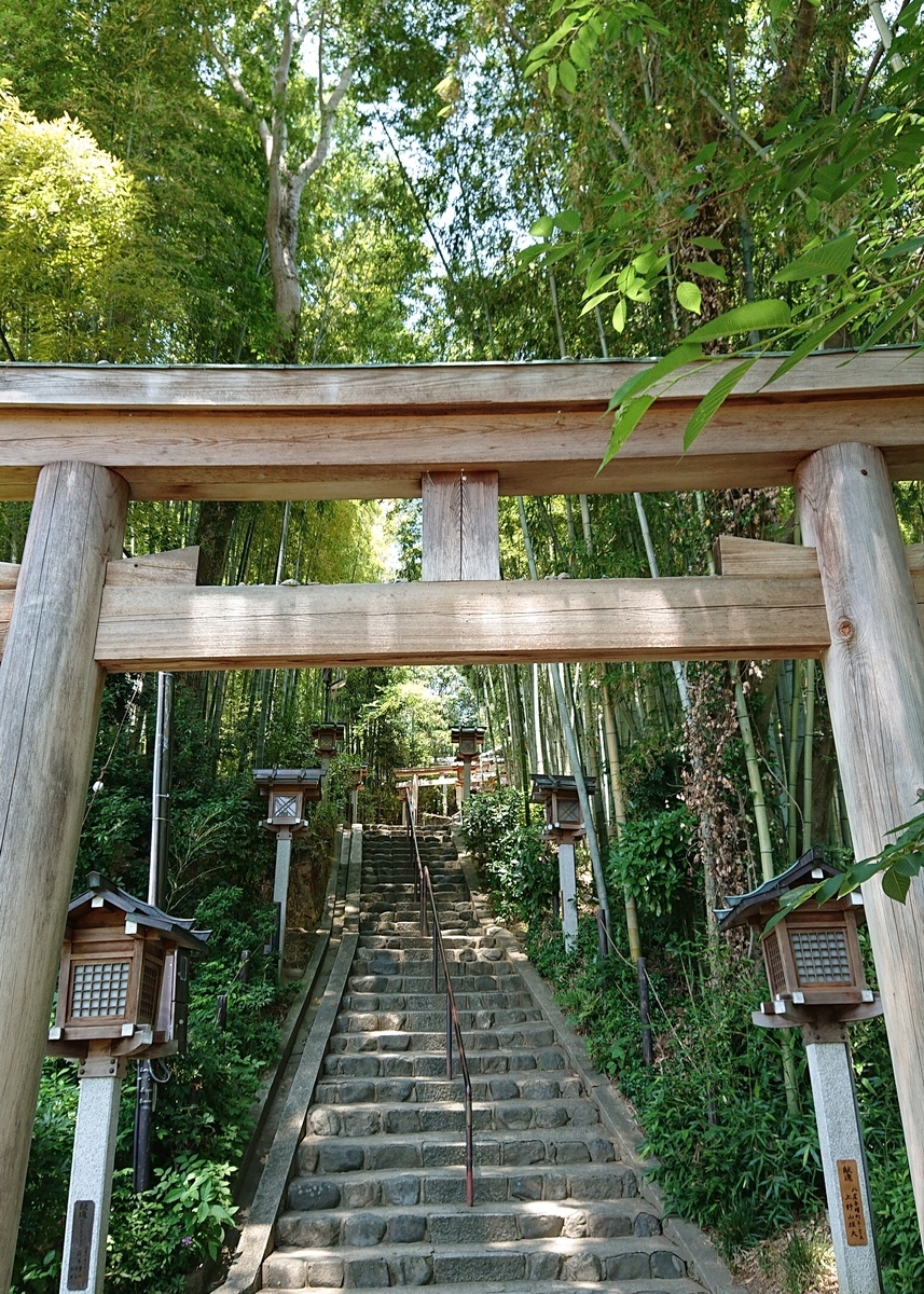 f:id:Kaimotu_Hatuji:20190608082418j:plain