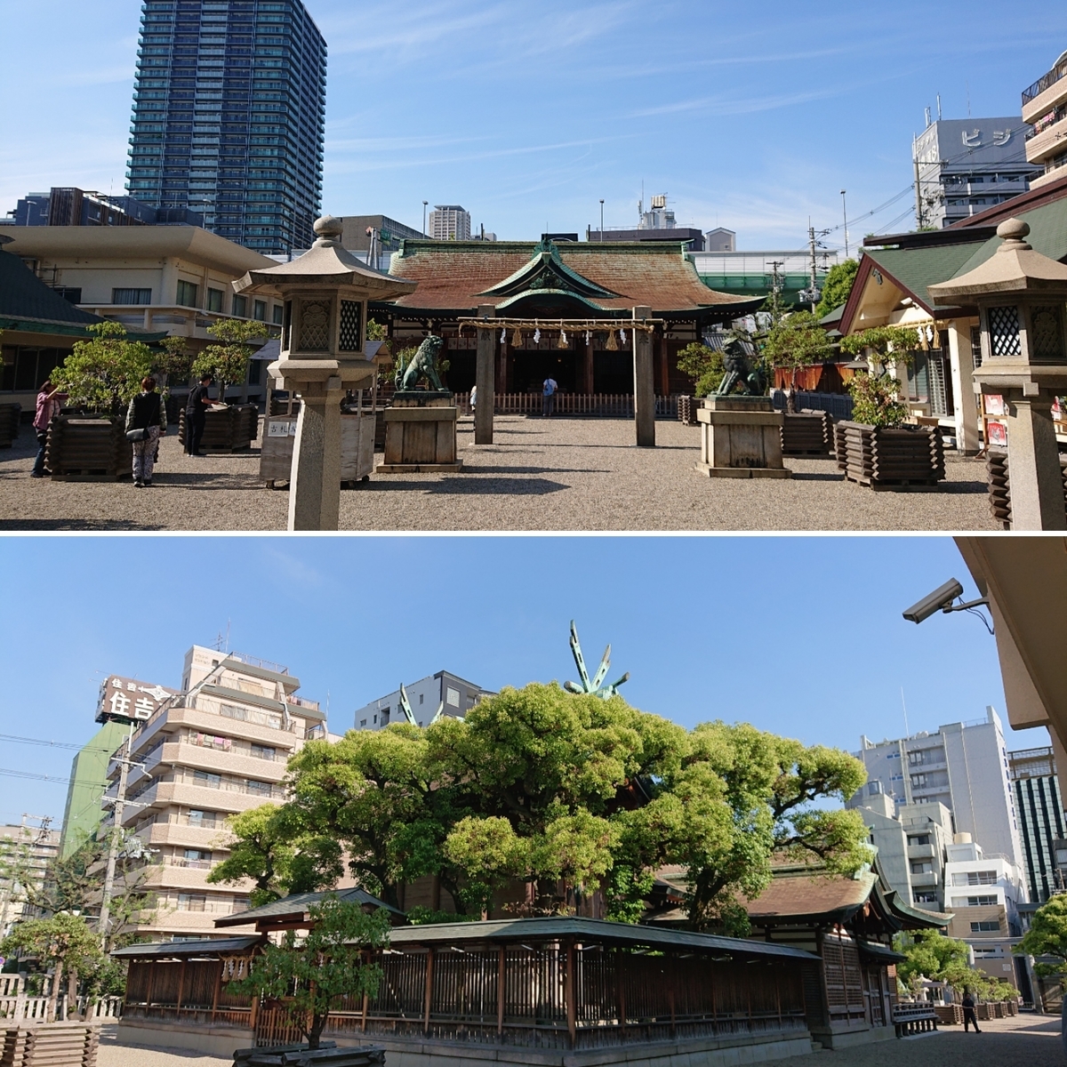f:id:Kaimotu_Hatuji:20190611110457j:plain