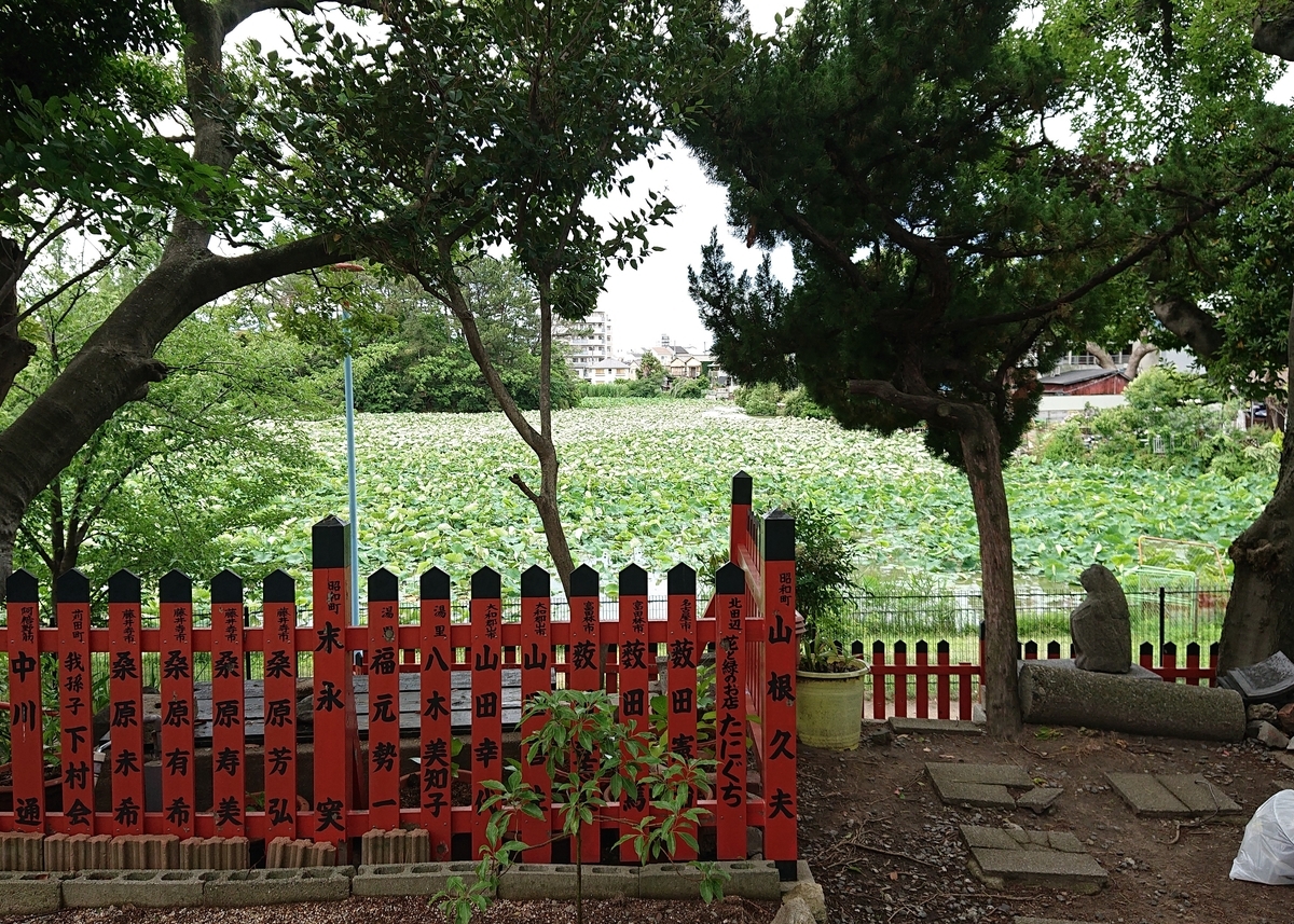 f:id:Kaimotu_Hatuji:20190617100644j:plain