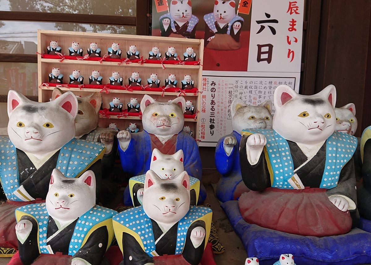 f:id:Kaimotu_Hatuji:20190617191053j:plain f:id:Kaimotu_Hatuji:20190617191053j:plain