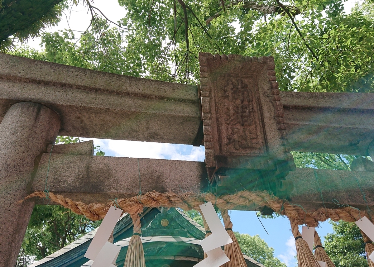 f:id:Kaimotu_Hatuji:20190617191223j:plain f:id:Kaimotu_Hatuji:20190617191223j:plain