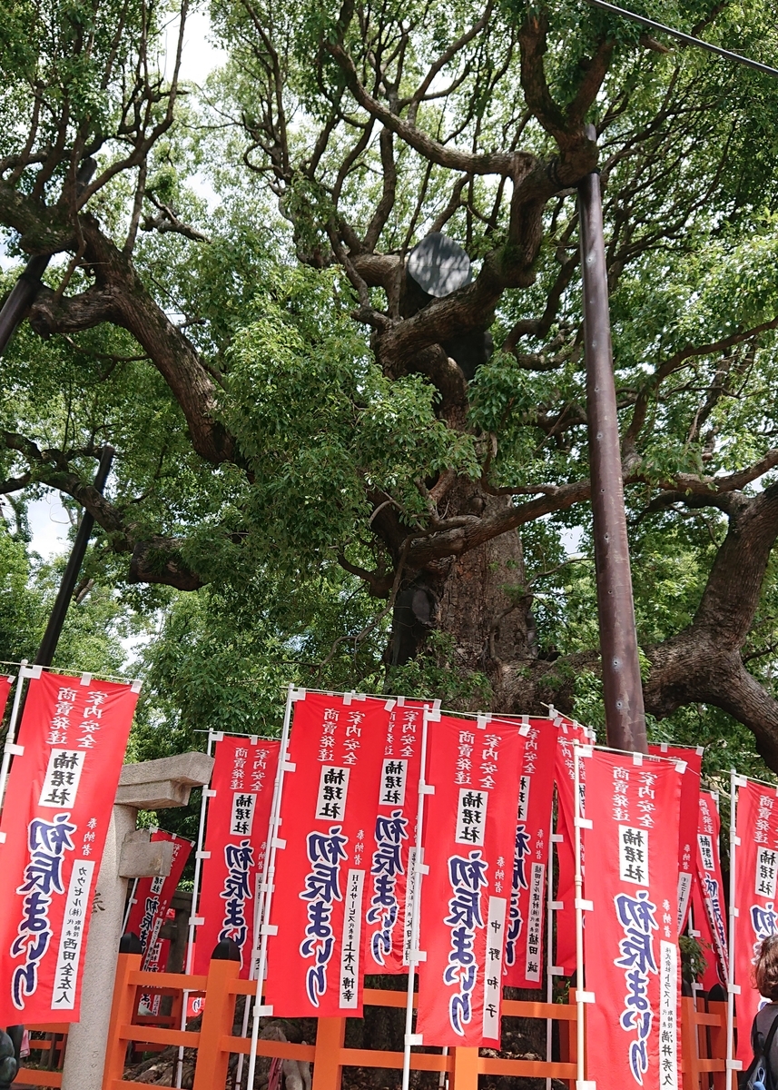 f:id:Kaimotu_Hatuji:20190617191252j:plain f:id:Kaimotu_Hatuji:20190617191252j:plain