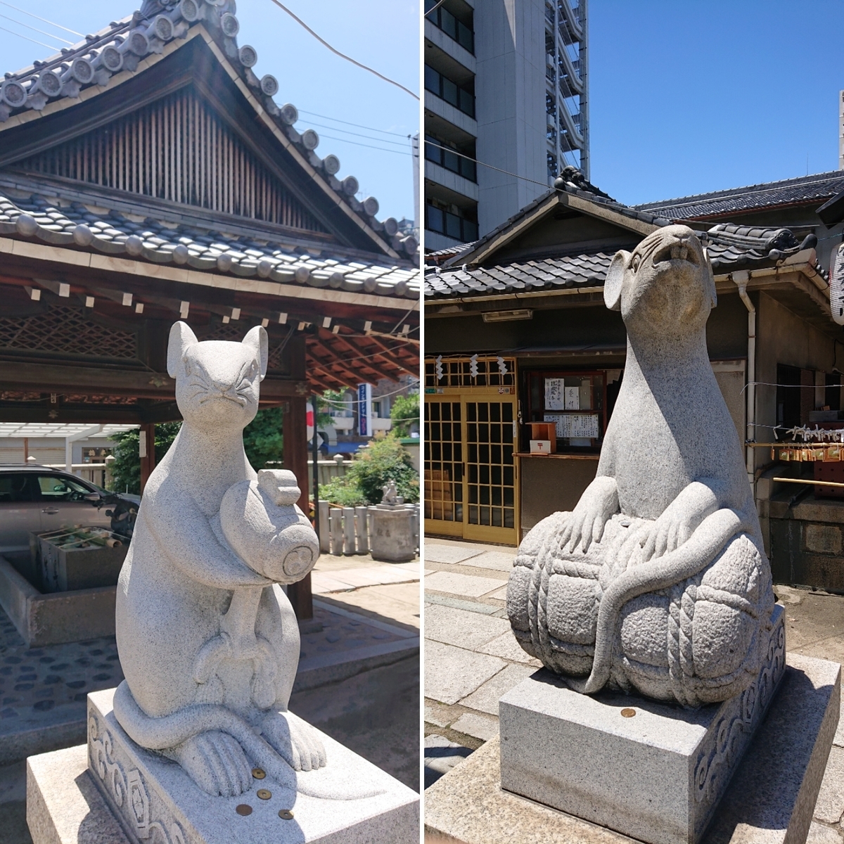 f:id:Kaimotu_Hatuji:20190619125449j:plain f:id:Kaimotu_Hatuji:20190619125449j:plain