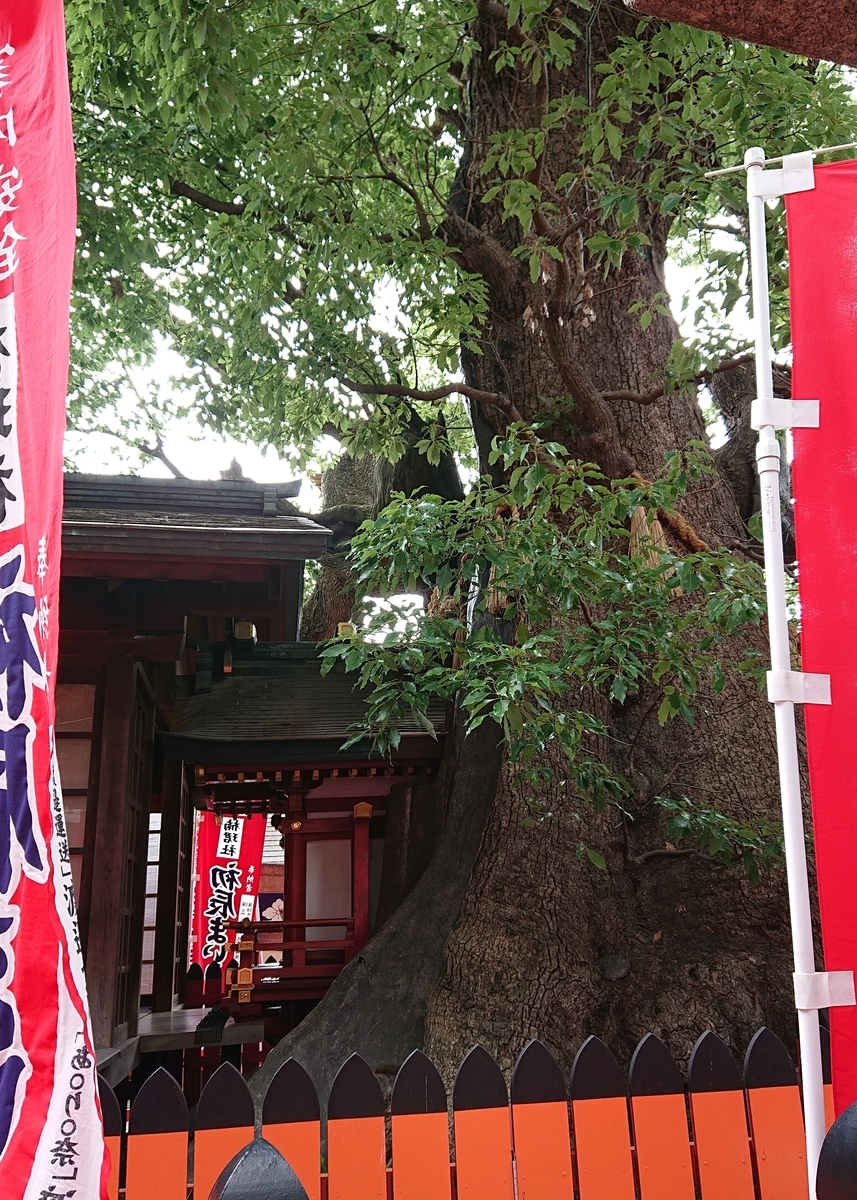 f:id:Kaimotu_Hatuji:20190624201449j:plain