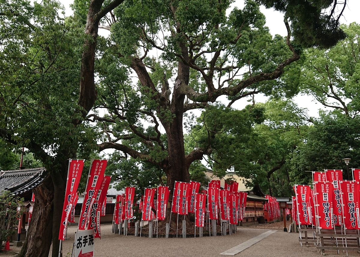 f:id:Kaimotu_Hatuji:20190625182822j:plain