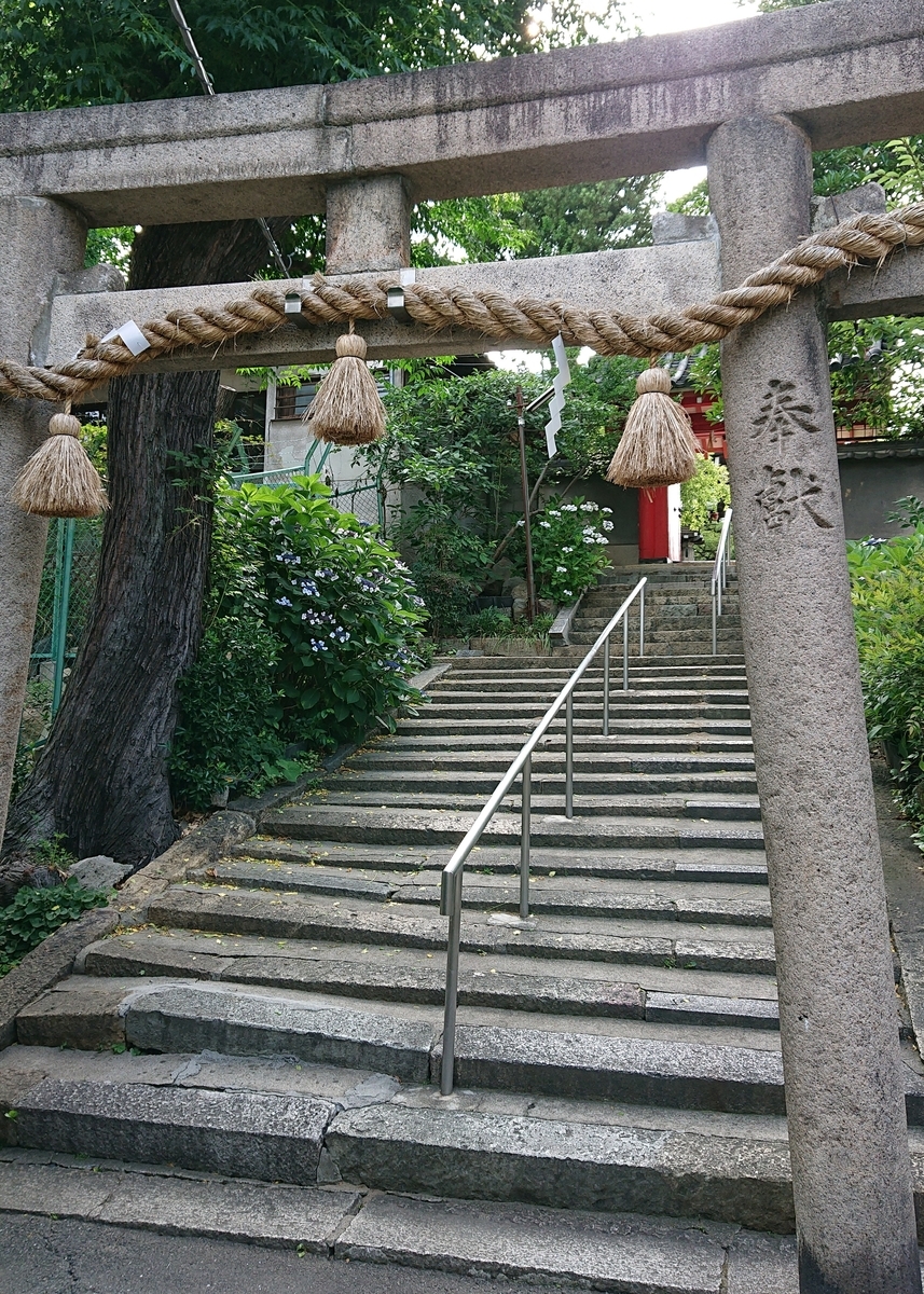 f:id:Kaimotu_Hatuji:20190627093013j:plain