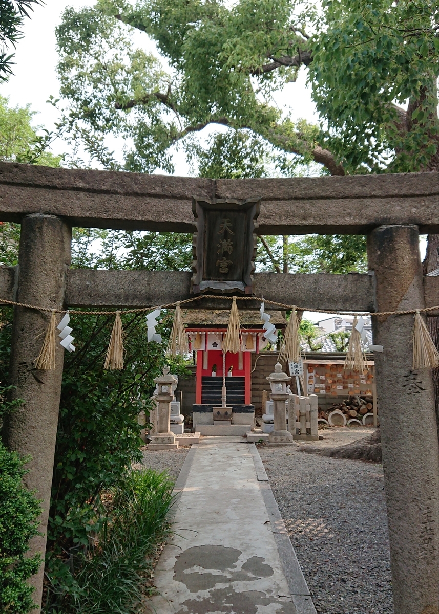 f:id:Kaimotu_Hatuji:20190627094337j:plain
