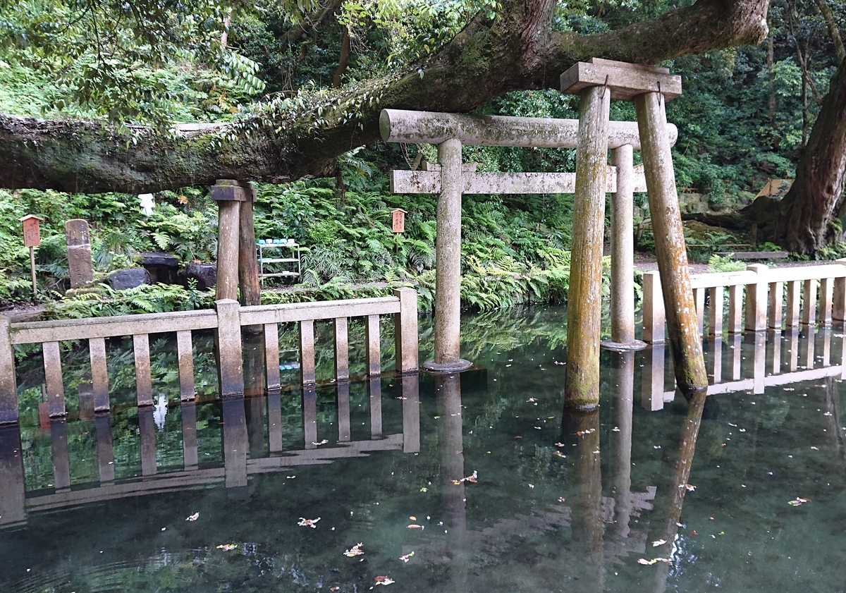 f:id:Kaimotu_Hatuji:20190629110116j:plain