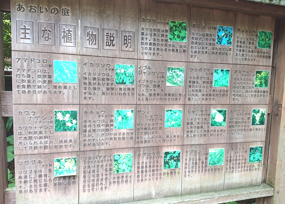 f:id:Kaimotu_Hatuji:20190711090902j:plain f:id:Kaimotu_Hatuji:20190711090902j:plain