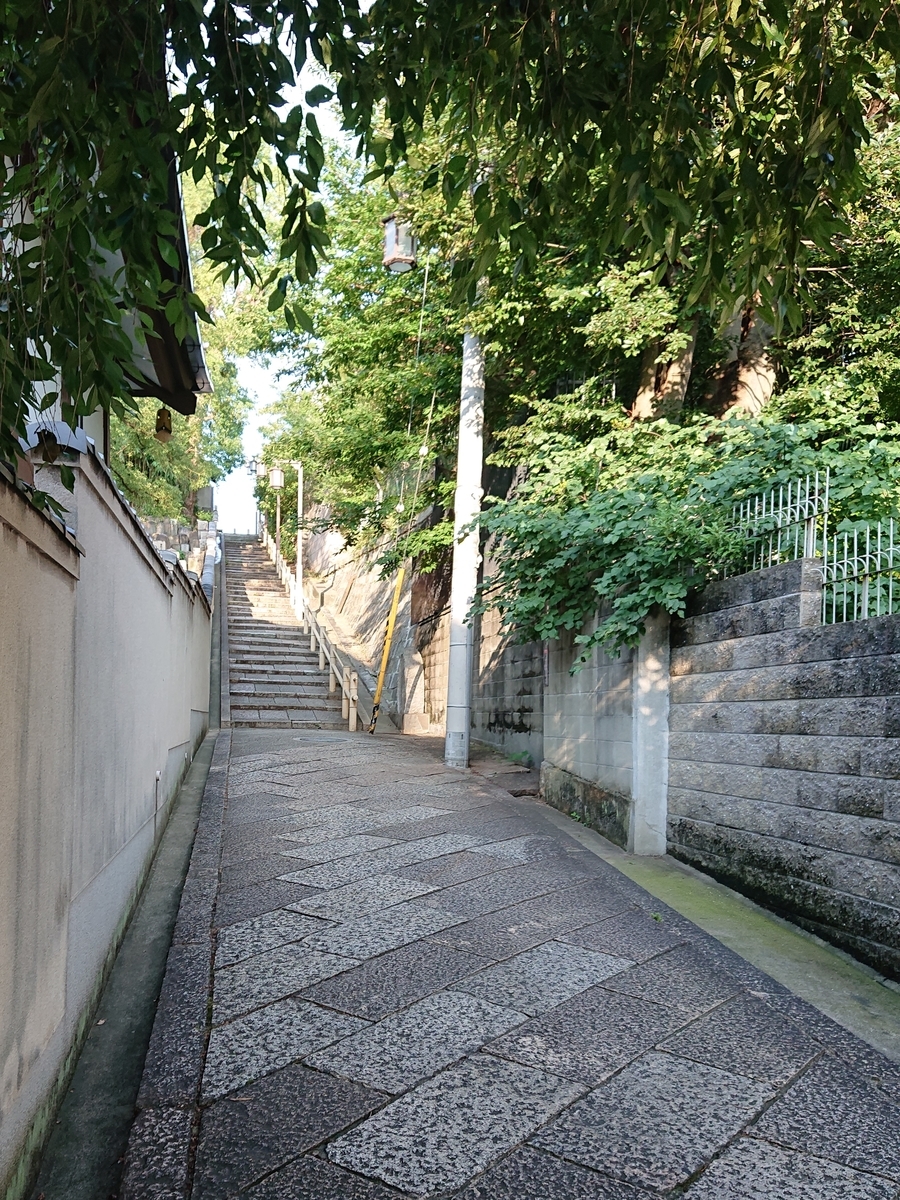 f:id:Kaimotu_Hatuji:20190712174712j:plain