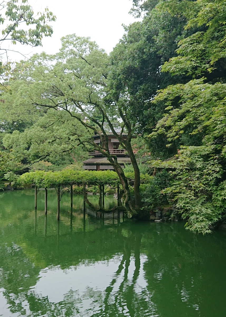 f:id:Kaimotu_Hatuji:20190720204007j:plain