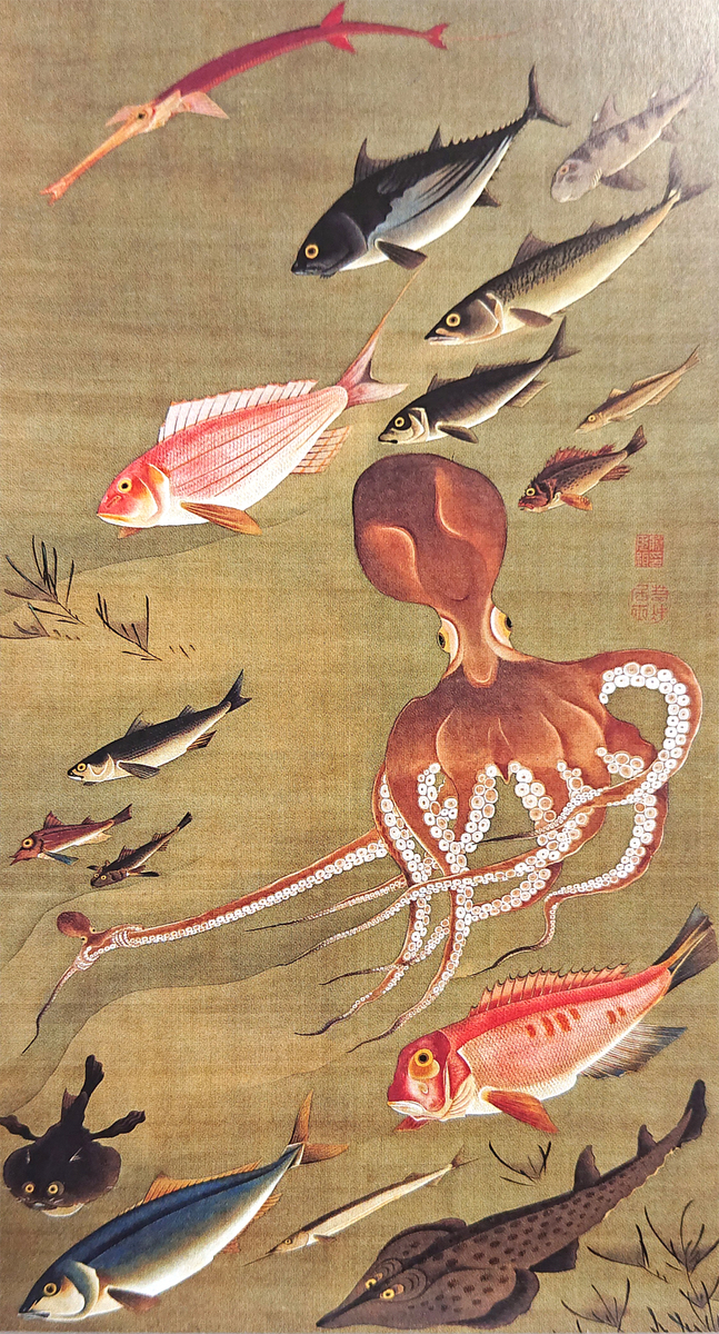 暑中お見舞い申し上げます。（伊藤若冲 動植綵絵 群魚図 貝甲図 蓮池