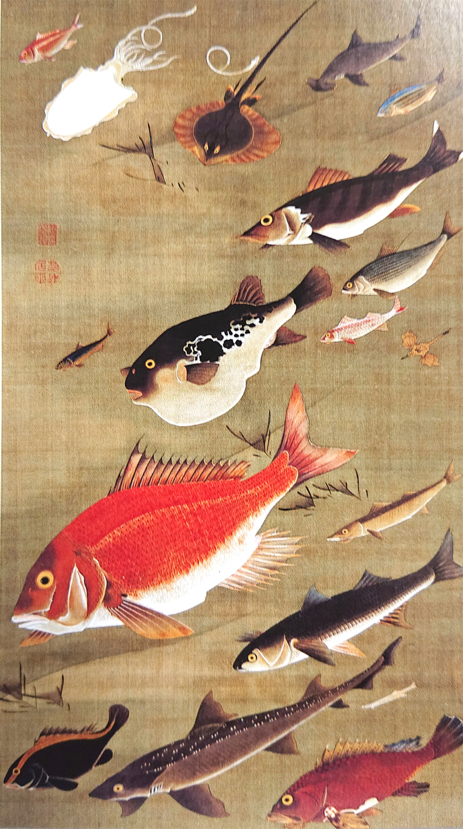 暑中お見舞い申し上げます。（伊藤若冲 動植綵絵 群魚図 貝甲図 蓮池